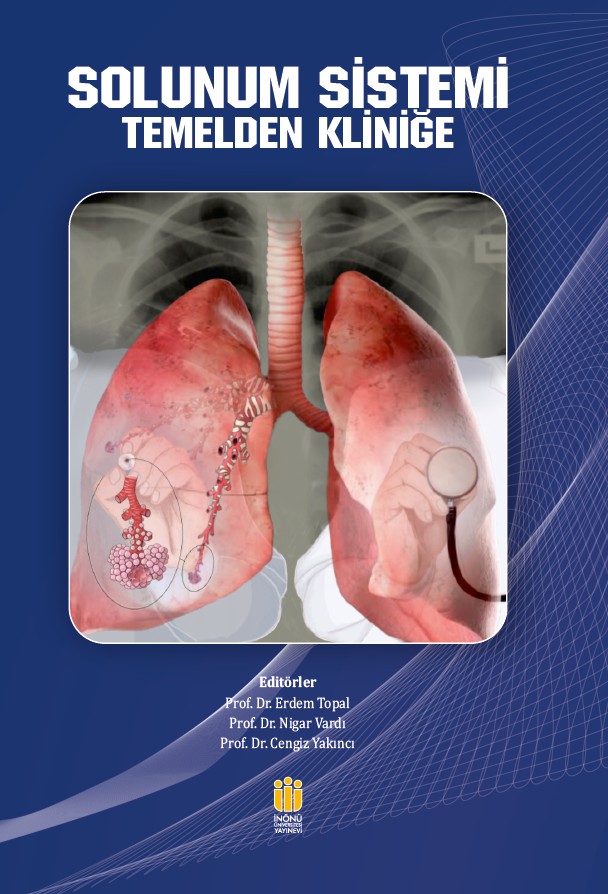 Respiratory System: From Fundamentals to Clinical Practice 
