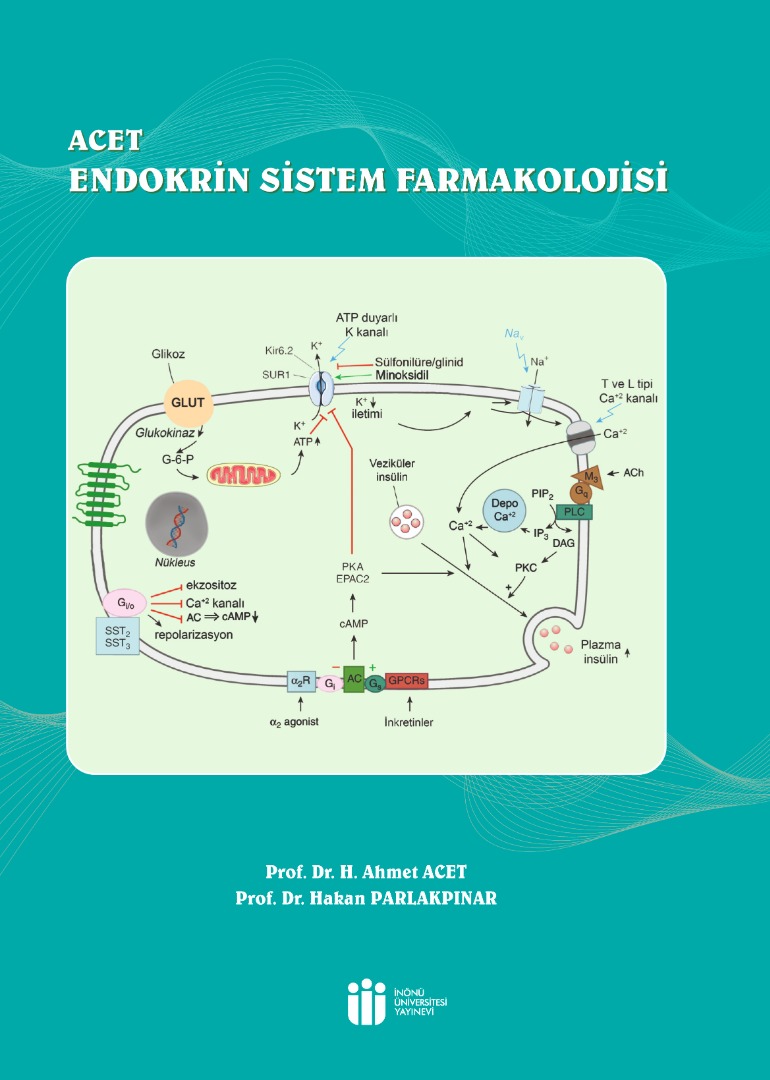 ACET Endocrine System Pharmacology